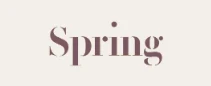 Spring Marketing Capital